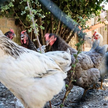 Tenuta Fonte Mosco' Ponzano di Fermo Buitenkant foto