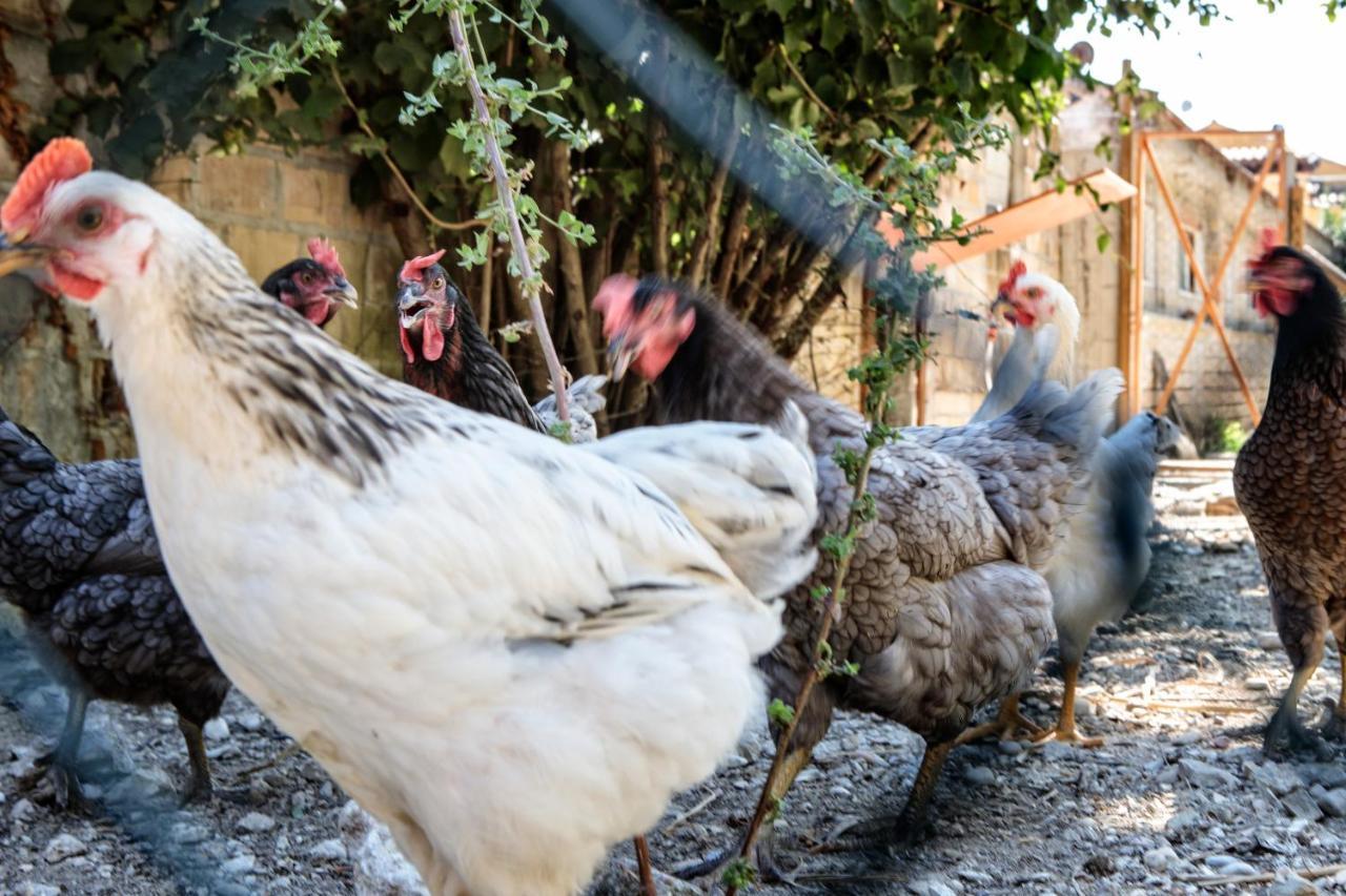 Tenuta Fonte Mosco' Ponzano di Fermo Buitenkant foto