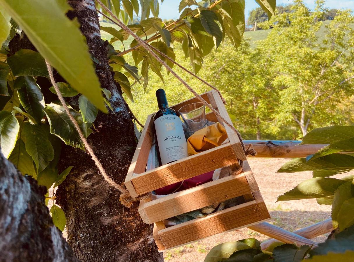 Tenuta Fonte Mosco' Ponzano di Fermo Buitenkant foto