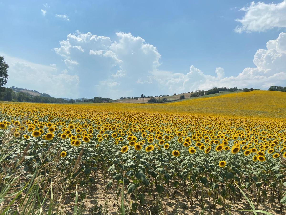 Tenuta Fonte Mosco' Ponzano di Fermo Buitenkant foto