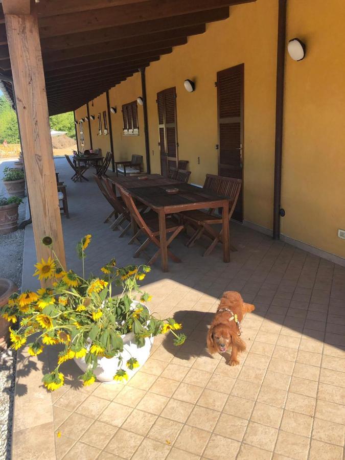 Tenuta Fonte Mosco' Ponzano di Fermo Buitenkant foto